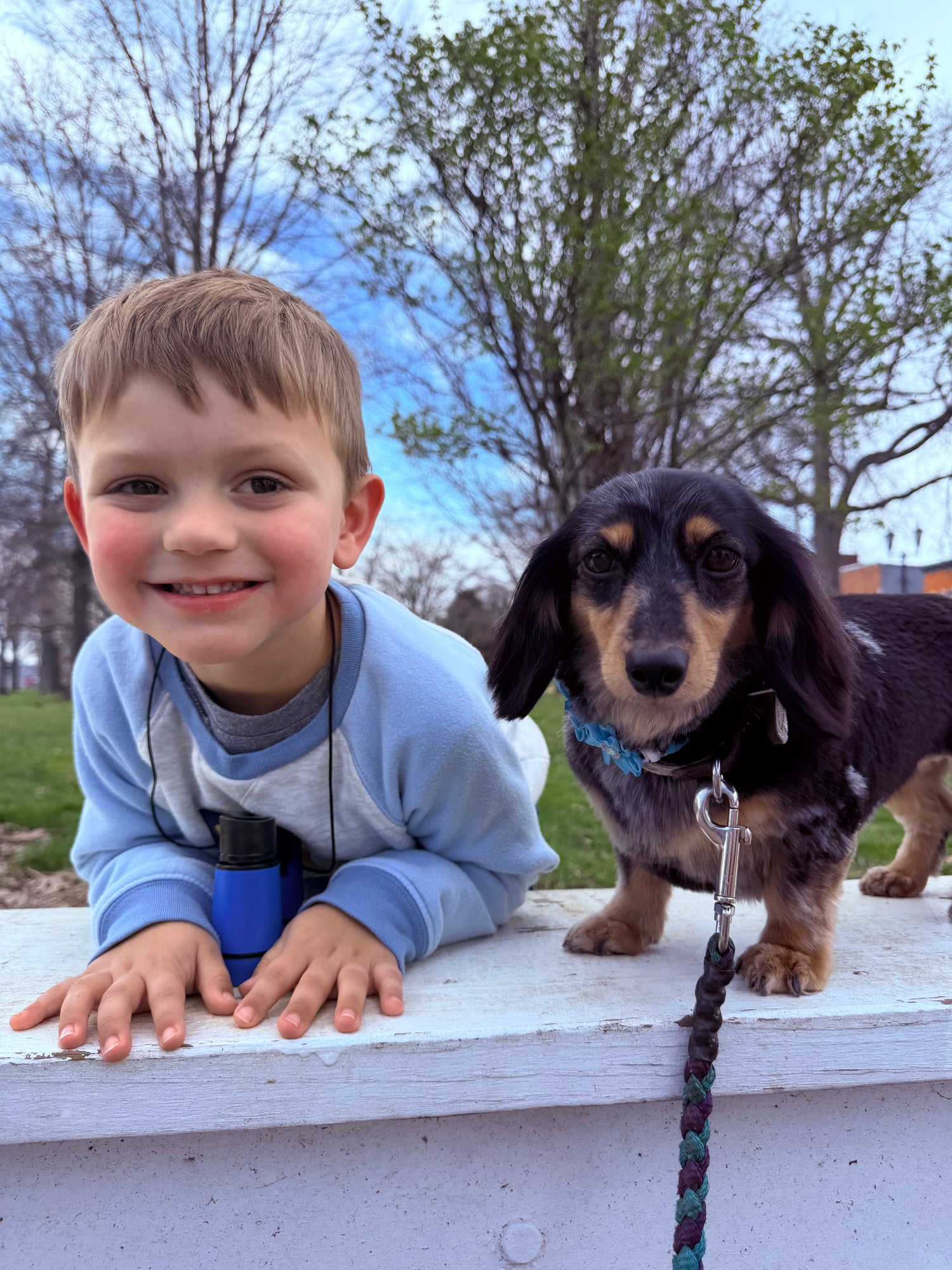The Dappled Doxie Kids Tees