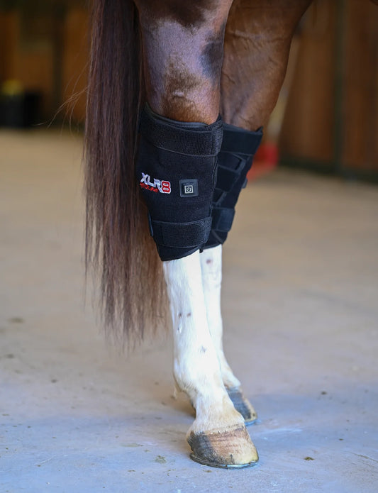 Redline Hock Boots